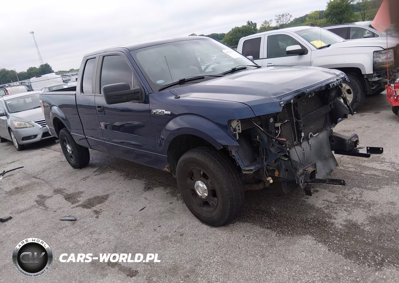 2010 Ford F-150 Xlt – zdjęcie 1 z 17