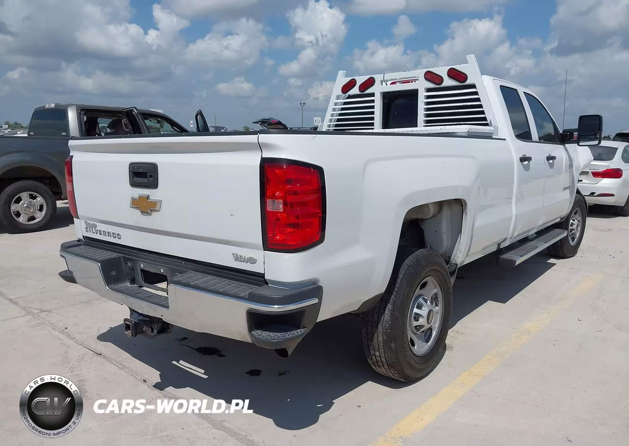 2019 Chevrolet Silverado 2500Hd Wt VIN:2GC2CREGXK1224460 - 4
