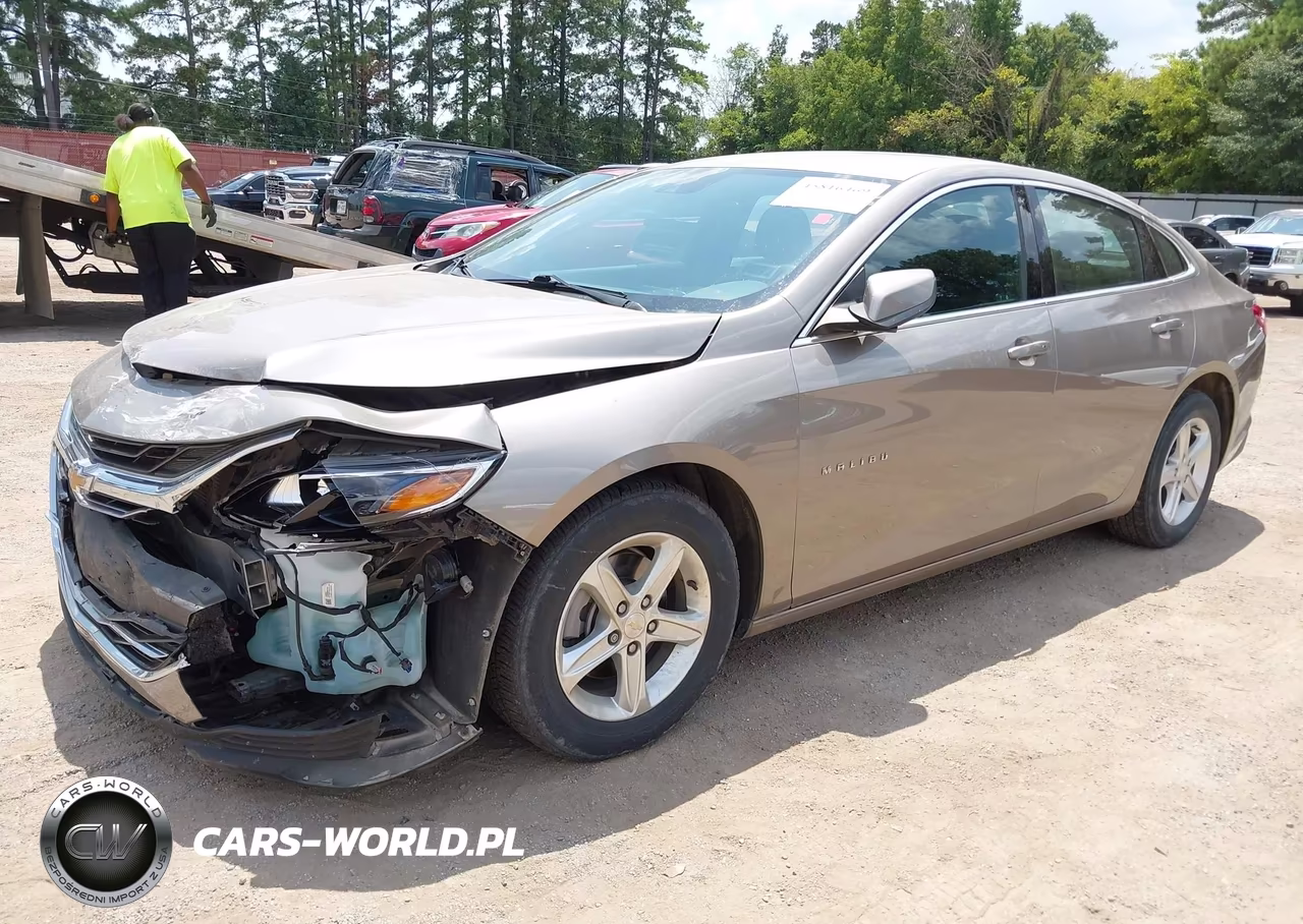2024 Chevrolet Malibu Fwd Ls VIN:1G1ZB5ST0RF148142 - 2