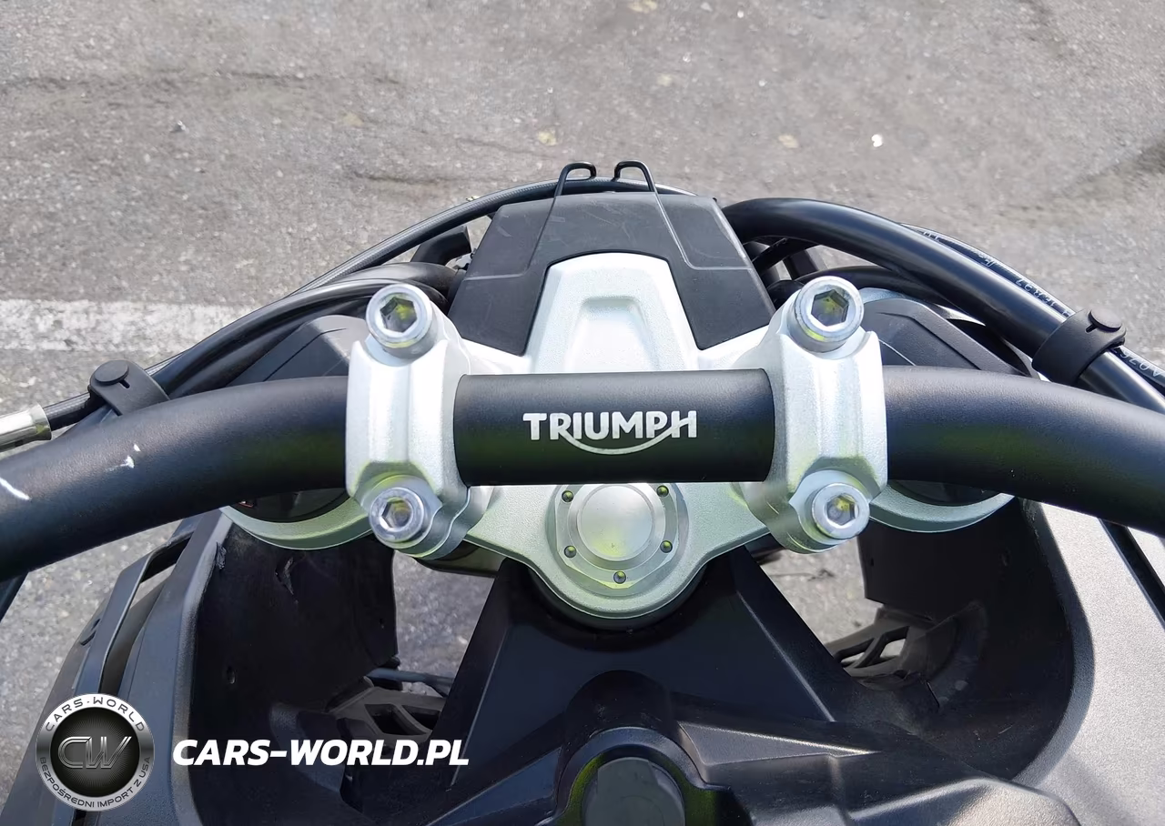 2018 Triumph Motorcycle Explorer Xcx VIN:SMTF43XB9JJ882578 - 7