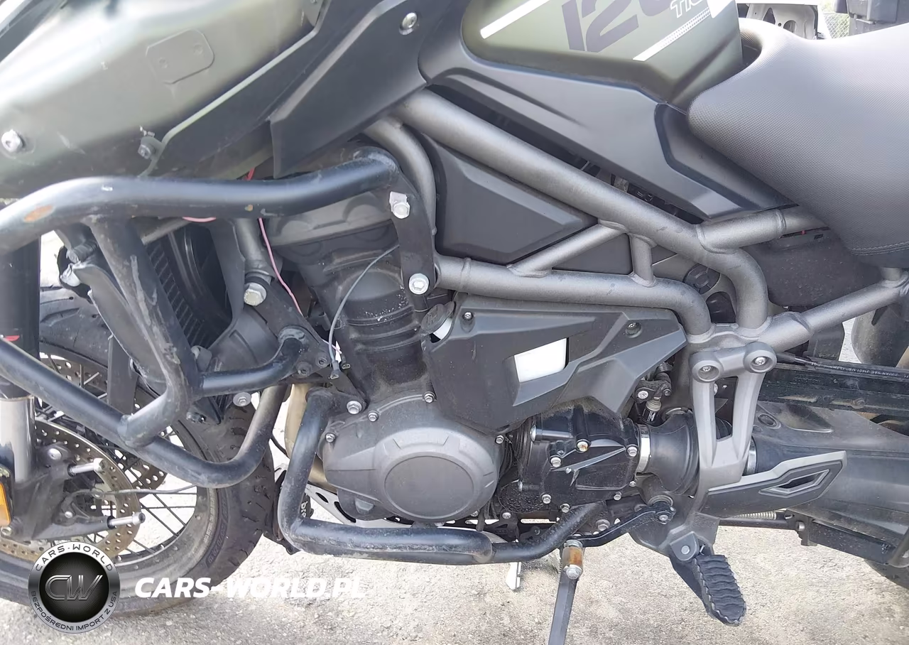 2018 Triumph Motorcycle Explorer Xcx VIN:SMTF43XB9JJ882578 - 9