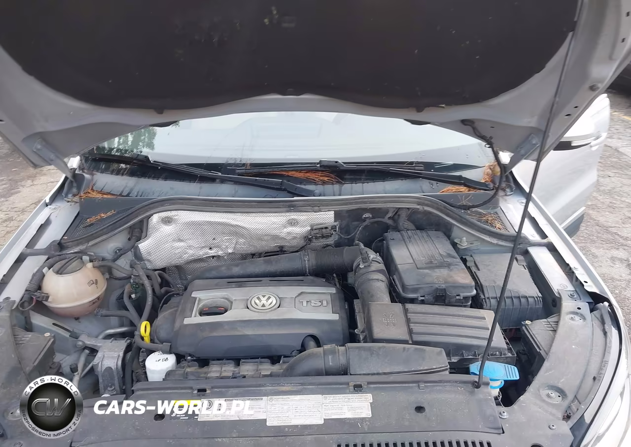 2013 Volkswagen Tiguan Sel VIN:WVGBV3AX9DW624160 - 10