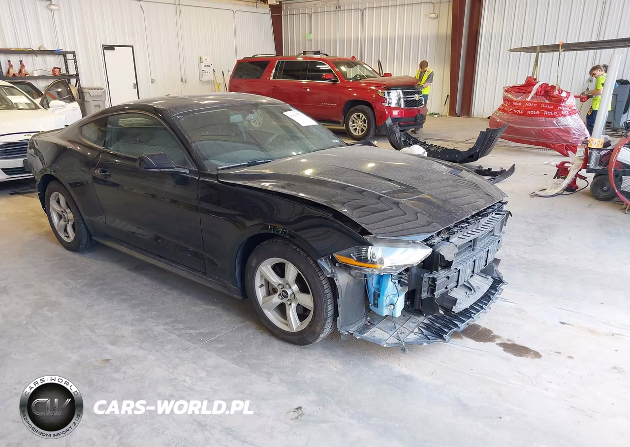 2019 Ford Mustang Ecoboost