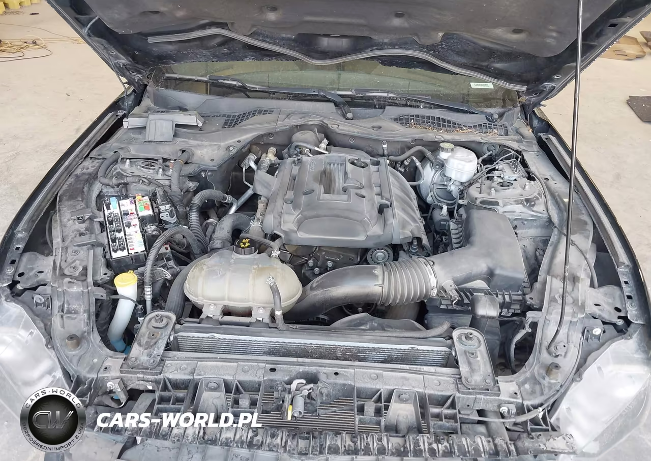 2019 Ford Mustang Ecoboost VIN:1FA6P8TH7K5143531 - 10