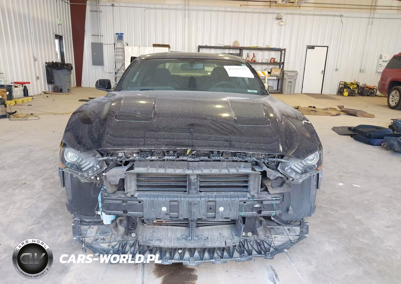 2019 Ford Mustang Ecoboost VIN:1FA6P8TH7K5143531 - 13