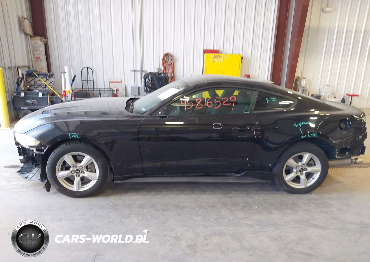 2019 Ford Mustang Ecoboost VIN:1FA6P8TH7K5143531 - 15
