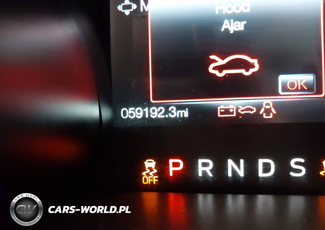 2019 Ford Mustang Ecoboost VIN:1FA6P8TH7K5143531 - 16