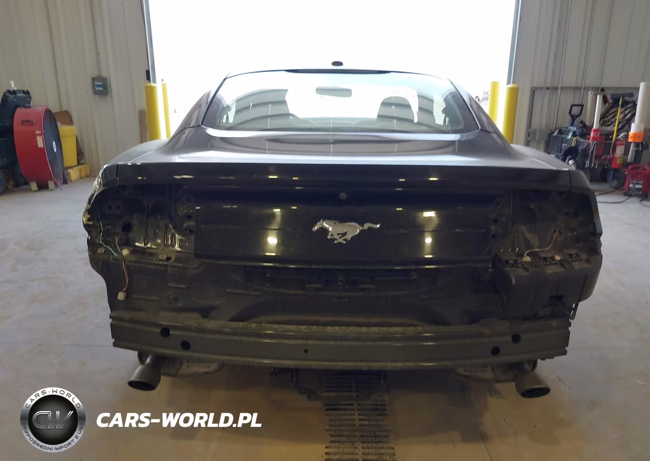 2019 Ford Mustang Ecoboost VIN:1FA6P8TH7K5143531 - 17