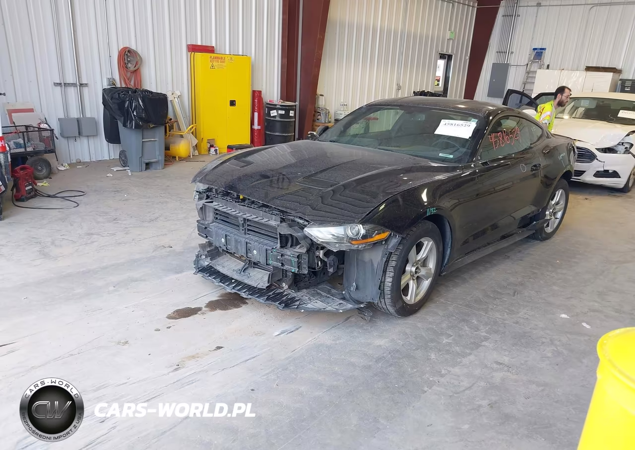 2019 Ford Mustang Ecoboost VIN:1FA6P8TH7K5143531 - 2