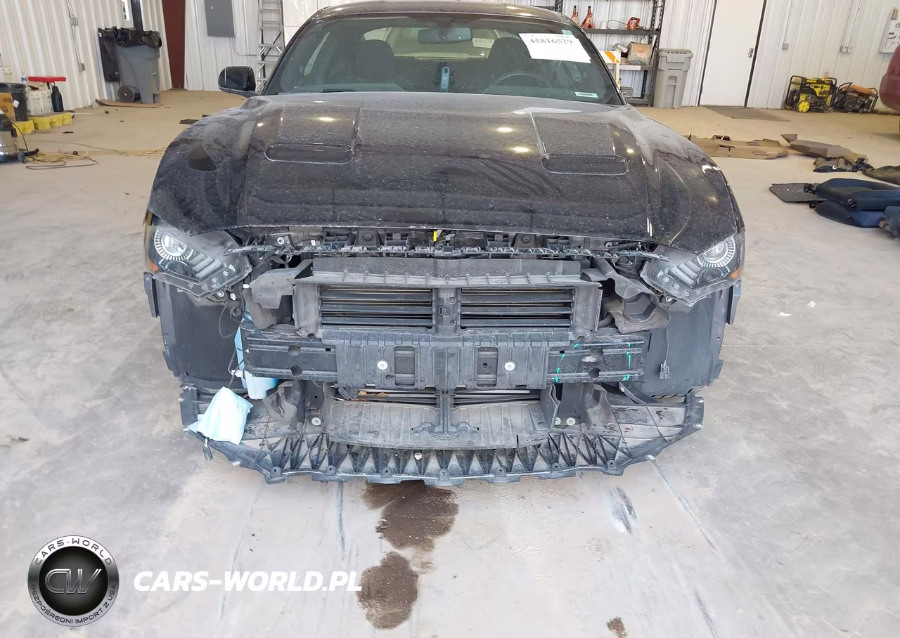 2019 Ford Mustang Ecoboost VIN:1FA6P8TH7K5143531 - 20