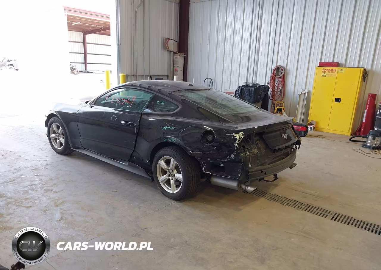 2019 Ford Mustang Ecoboost VIN:1FA6P8TH7K5143531 - 3
