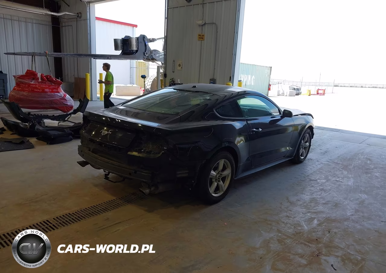 2019 Ford Mustang Ecoboost VIN:1FA6P8TH7K5143531 - 4