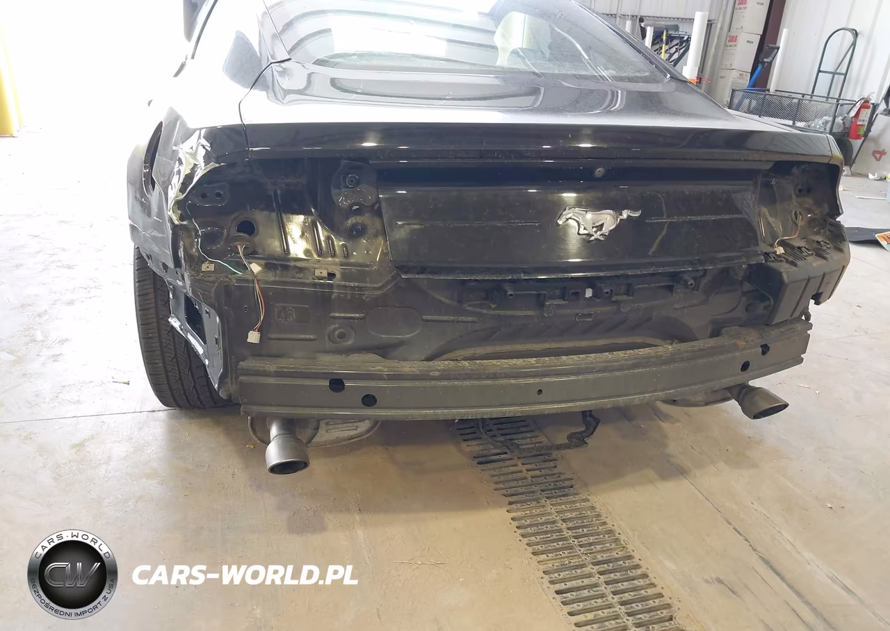 2019 Ford Mustang Ecoboost VIN:1FA6P8TH7K5143531 - 6