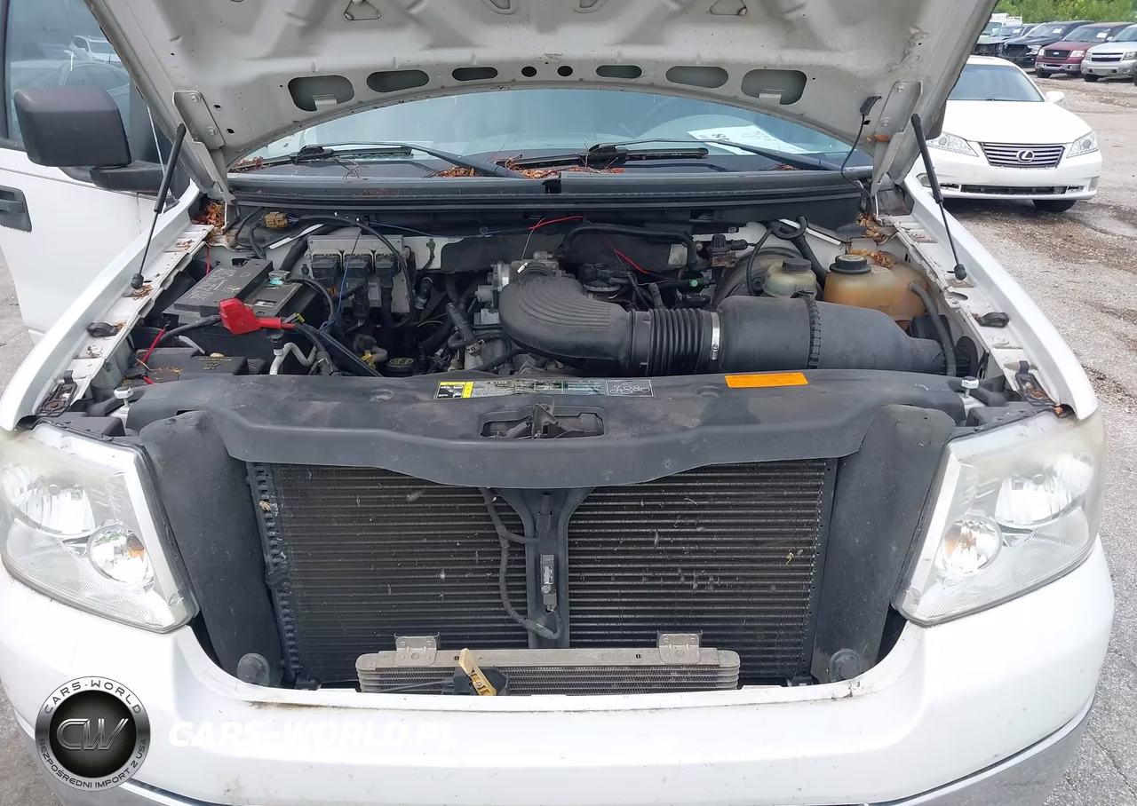 2004 Ford F-150 Stx-Xl-Xlt VIN:1FTRF14WX4NA13406 - 10