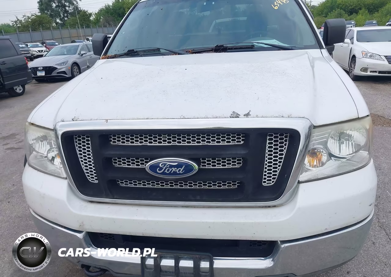 2004 Ford F-150 Stx-Xl-Xlt VIN:1FTRF14WX4NA13406 - 6