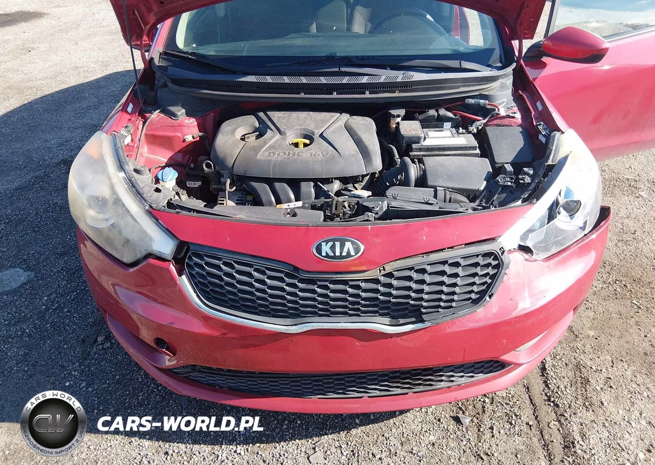 2016 Kia Forte Lx VIN:KNAFK4A64G5567286 - 10