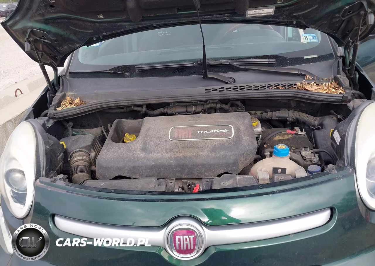 2014 Fiat 500L Trekking VIN:ZFBCFADH3EZ010576 - 10