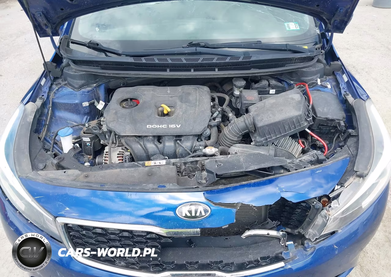 2017 Kia Forte Lx VIN:3KPFK4A76HE051352 - 10