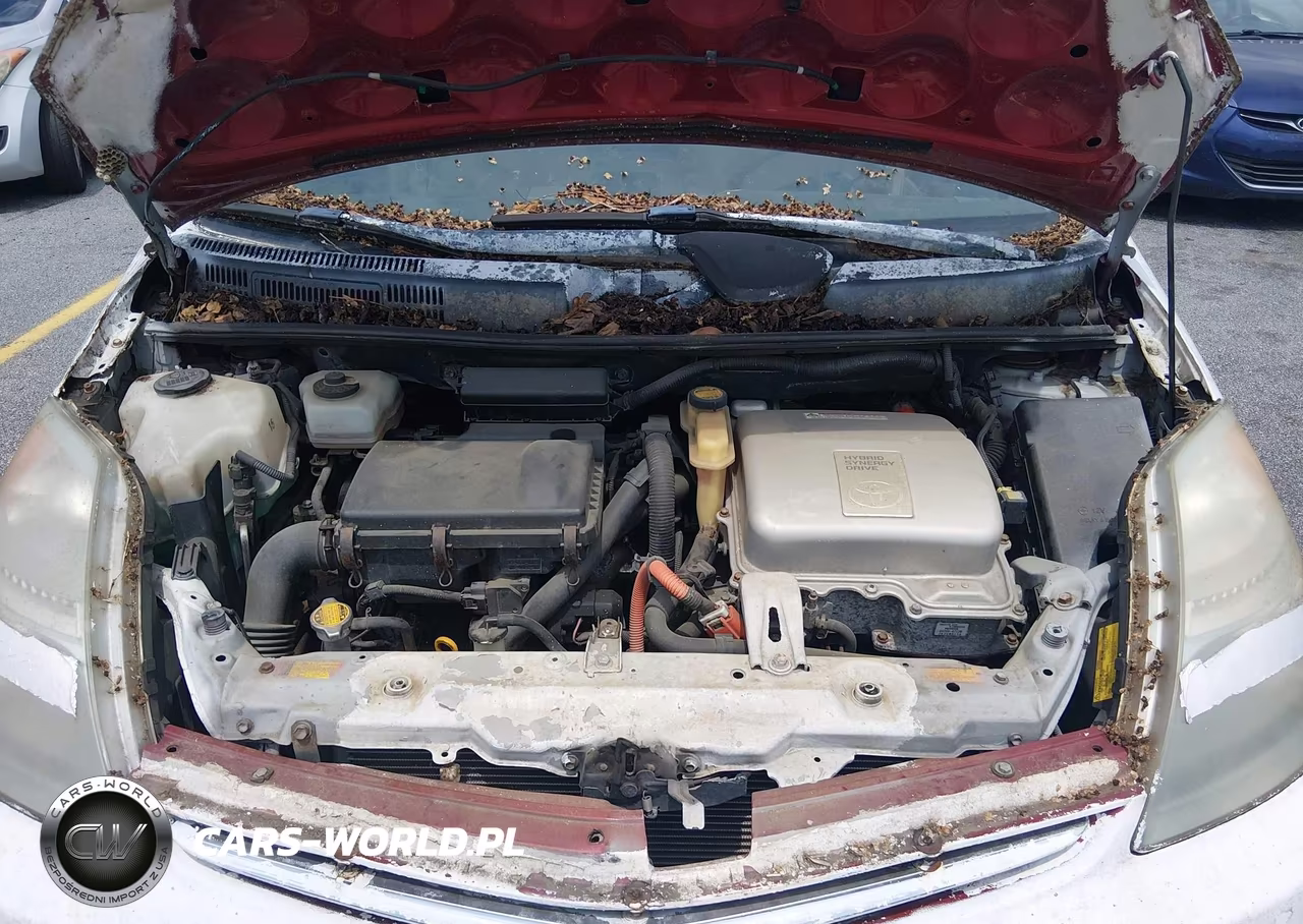 2006 Toyota Prius VIN:JTDKB20U667063461 - 10