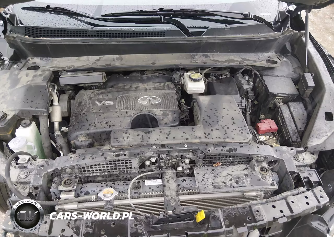 2017 Infiniti Qx60 VIN:5N1DL0MNXHC545899 - 10