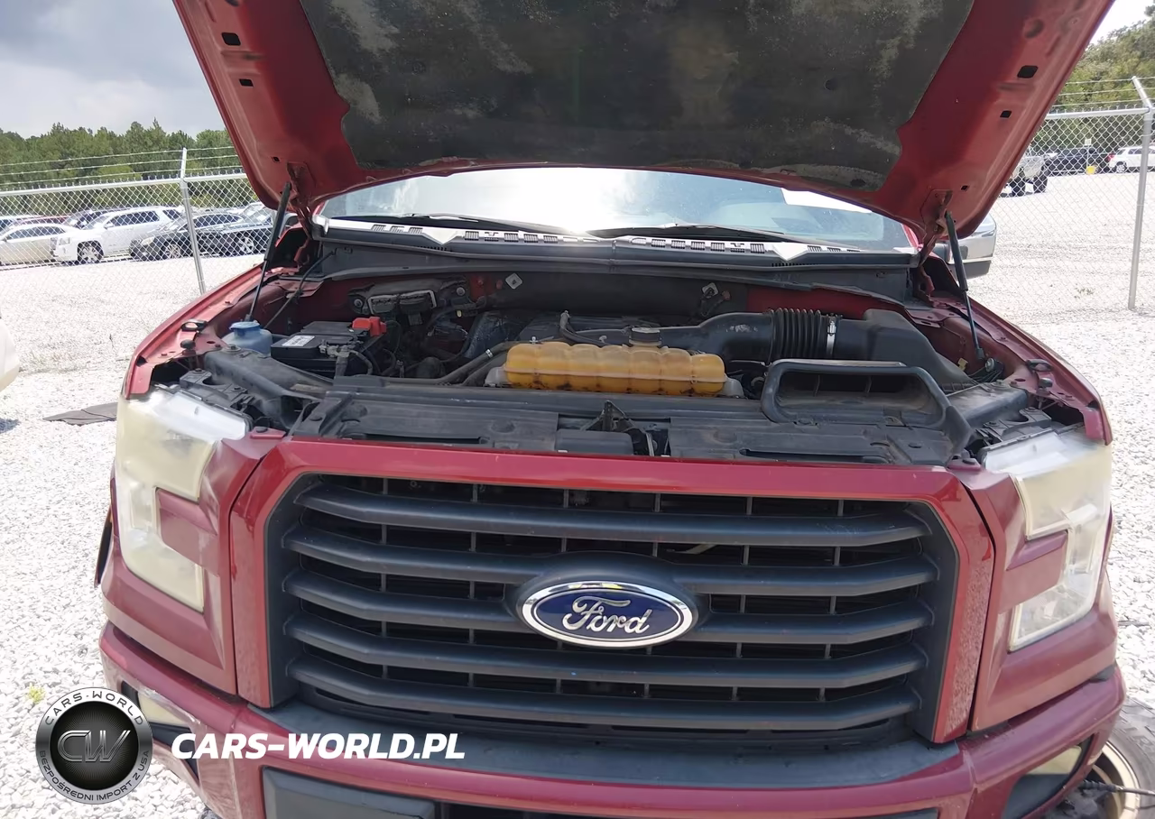 2015 Ford F-150 Xlt VIN:1FTEW1CP4FKE21204 - 10