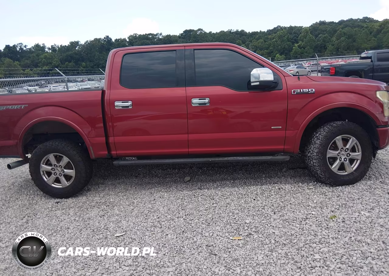 2015 Ford F-150 Xlt VIN:1FTEW1CP4FKE21204 - 13