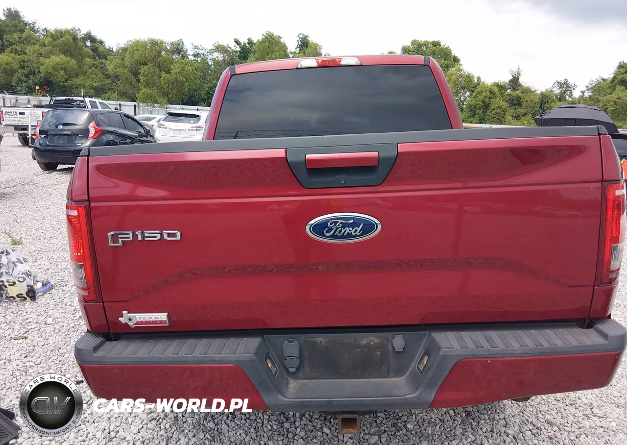 2015 Ford F-150 Xlt VIN:1FTEW1CP4FKE21204 - 16