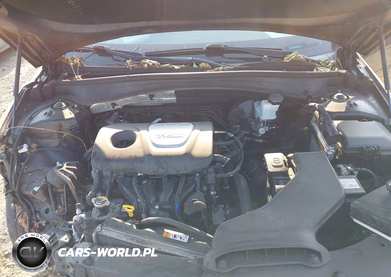 2019 Kia Optima Ex VIN:5XXGU4L10KG289980 - 10