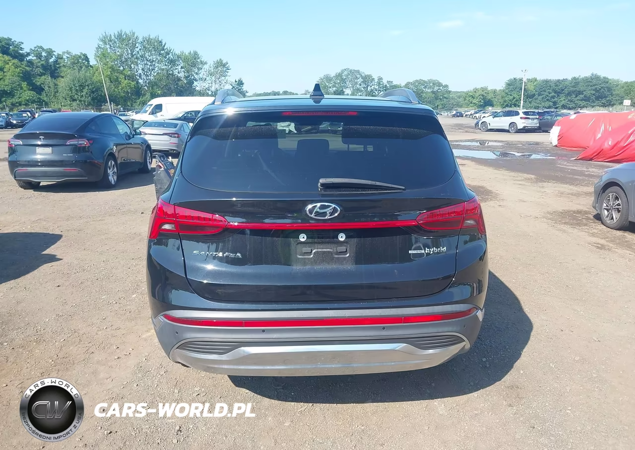 2023 Hyundai Santa Fe Sel Premium VIN:5NMS3DA17PH016916 - 16
