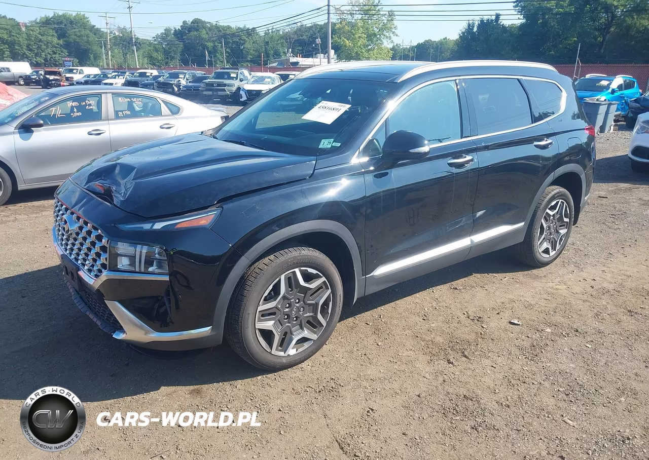 2023 Hyundai Santa Fe Sel Premium VIN:5NMS3DA17PH016916 - 2