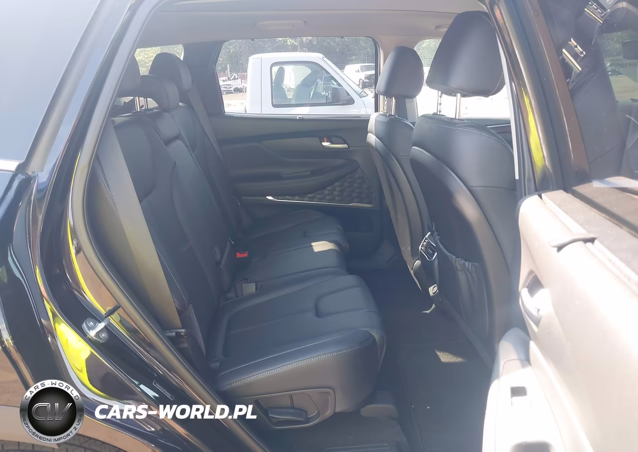 2023 Hyundai Santa Fe Sel Premium VIN:5NMS3DA17PH016916 - 8