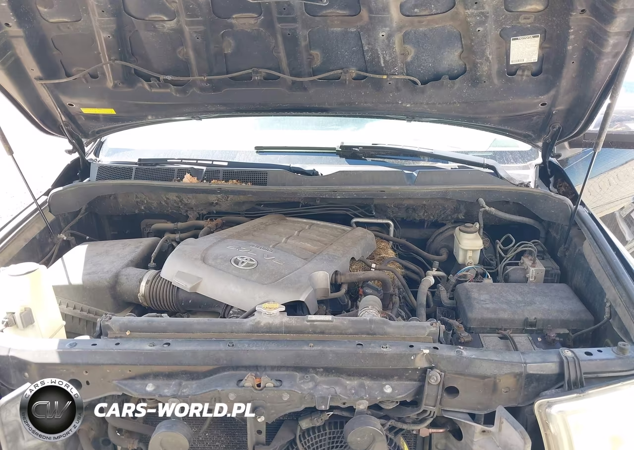 2010 Toyota Sequoia Limited 5.7L V8 VIN:5TDJW5G18AS032269 - 10