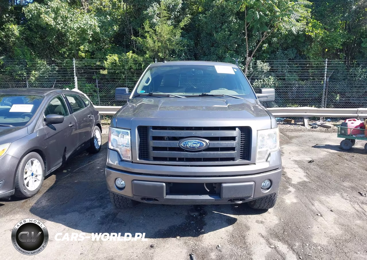 2009 Ford F-150 Stx-Xl-Xlt VIN:1FTRX14879FA28946 - 12