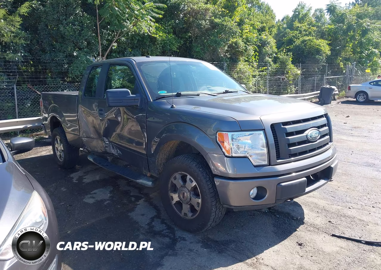 2009 Ford F-150 Stx-Xl-Xlt VIN:1FTRX14879FA28946 - 13