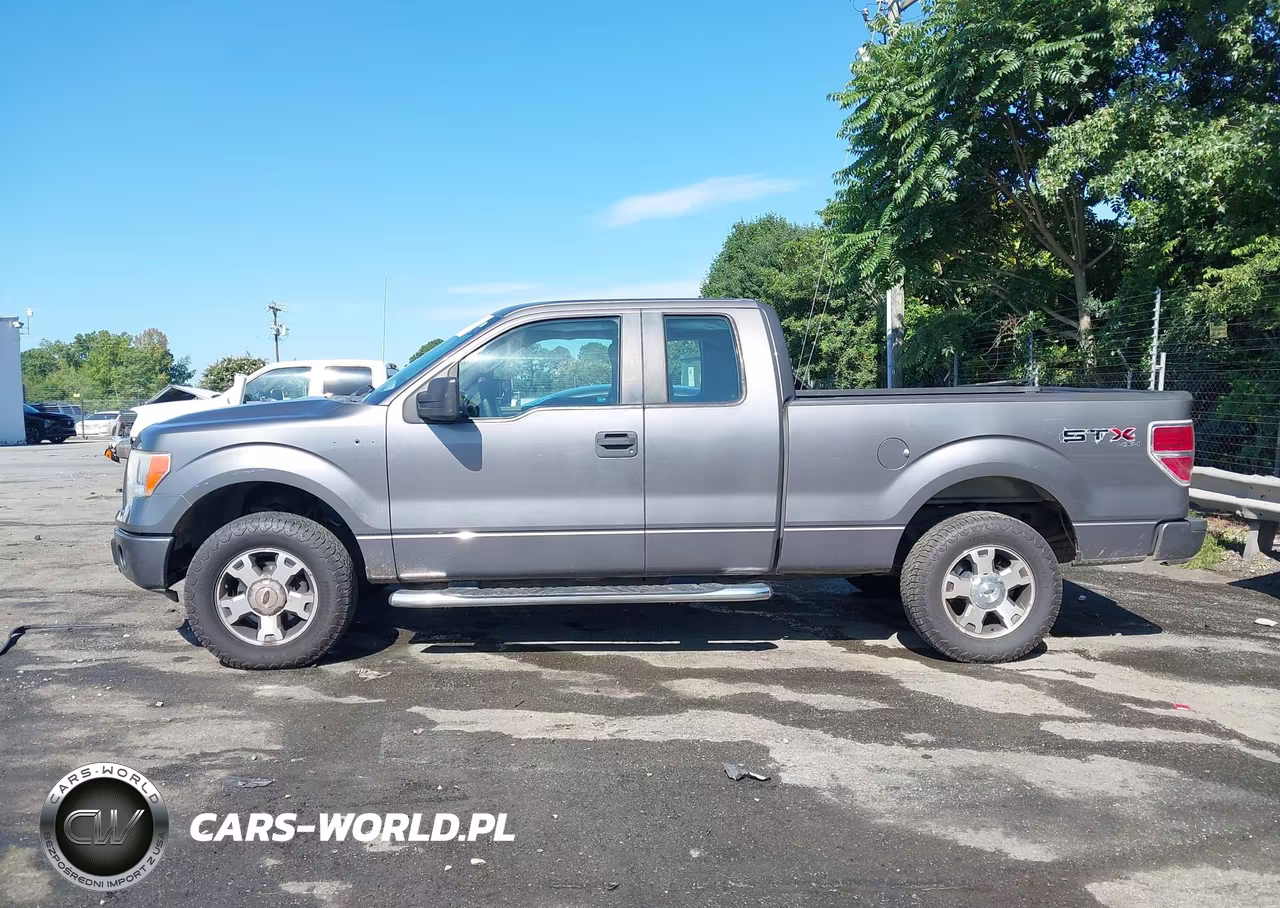 2009 Ford F-150 Stx-Xl-Xlt VIN:1FTRX14879FA28946 - 14