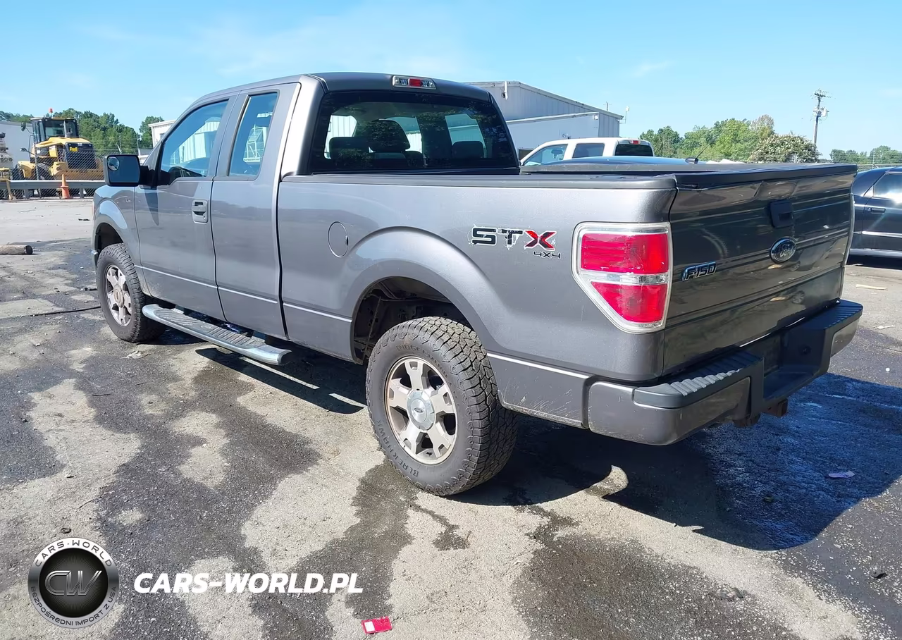 2009 Ford F-150 Stx-Xl-Xlt VIN:1FTRX14879FA28946 - 3