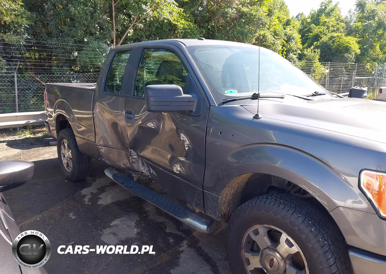 2009 Ford F-150 Stx-Xl-Xlt VIN:1FTRX14879FA28946 - 6