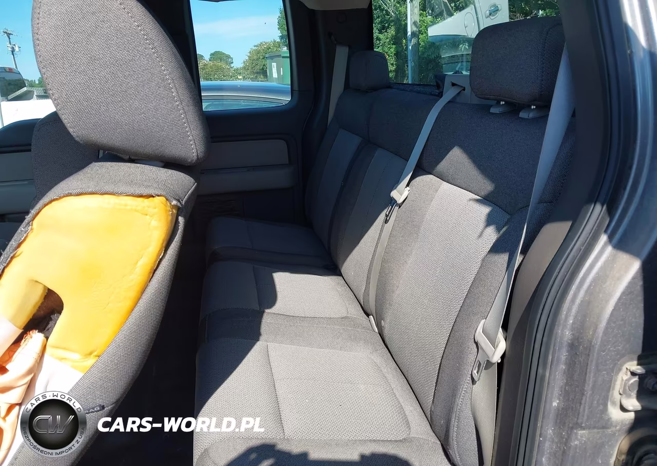 2009 Ford F-150 Stx-Xl-Xlt VIN:1FTRX14879FA28946 - 8