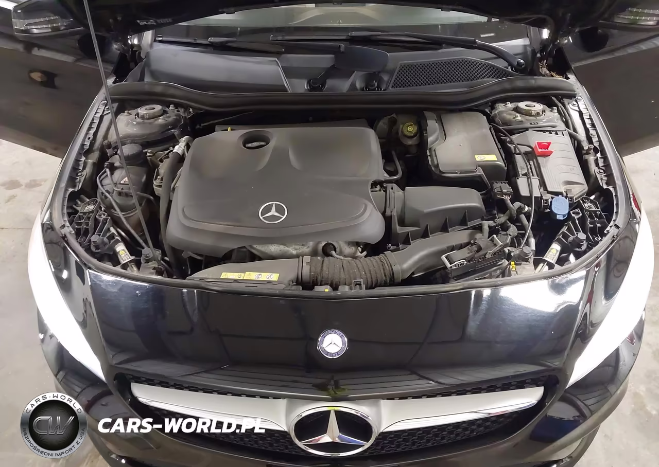 2015 Mercedes-Benz Cla 250 4Matic VIN:WDDSJ4GB5FN204069 - 10