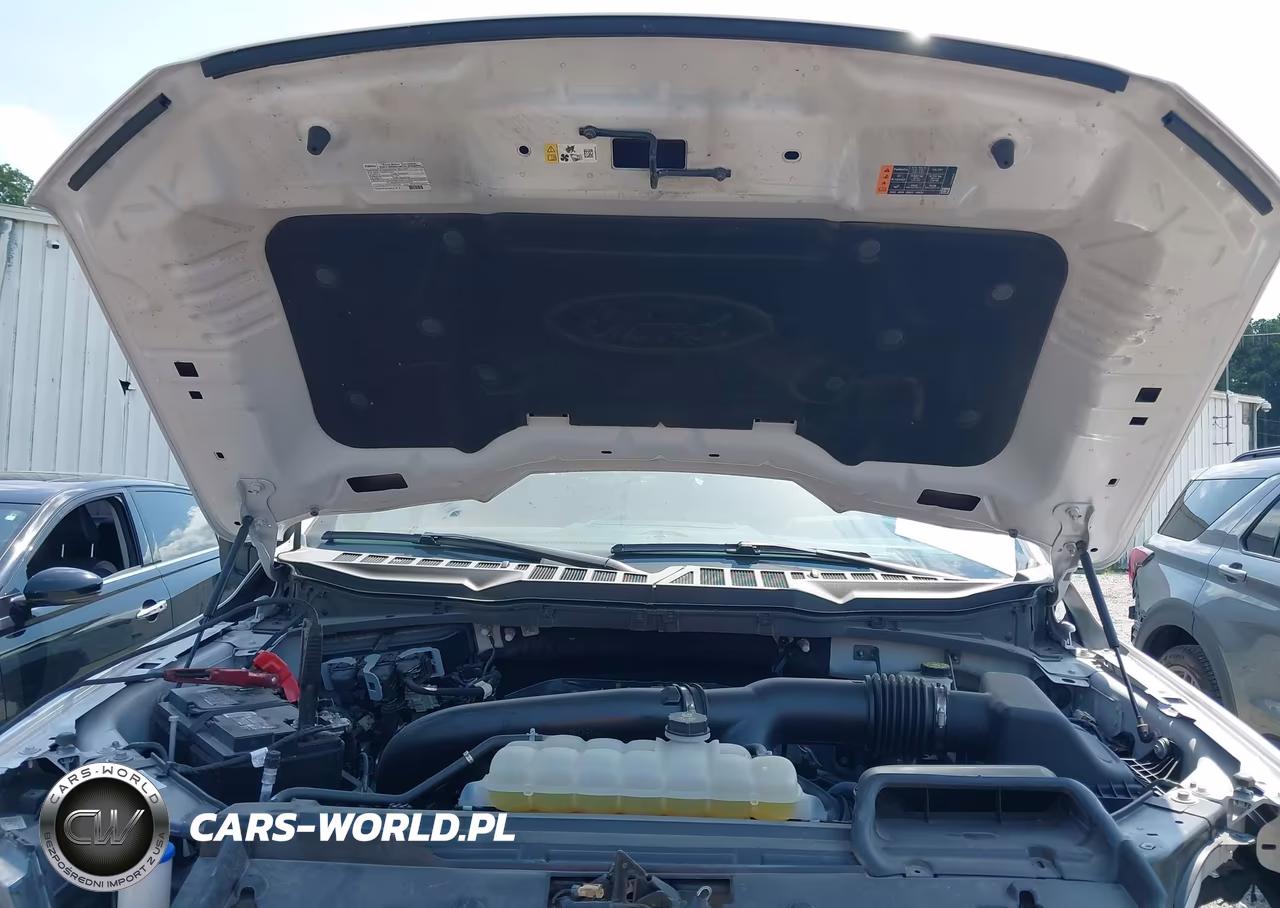 2024 Ford F-150 Xlt VIN:1FTFW3L81RFB35395 - 9