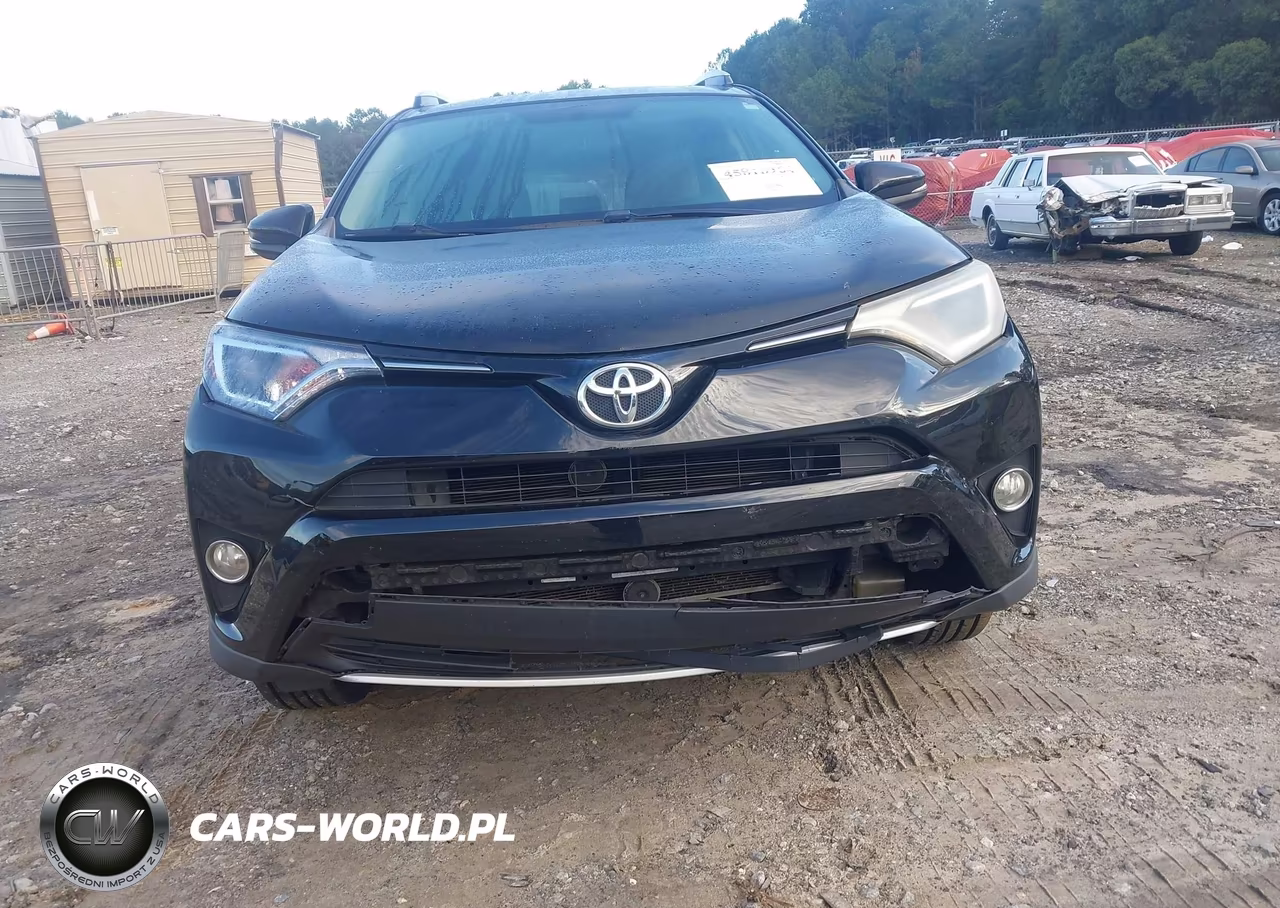 2016 Toyota Rav4 Xle VIN:2T3WFREV3GW290029 - 12