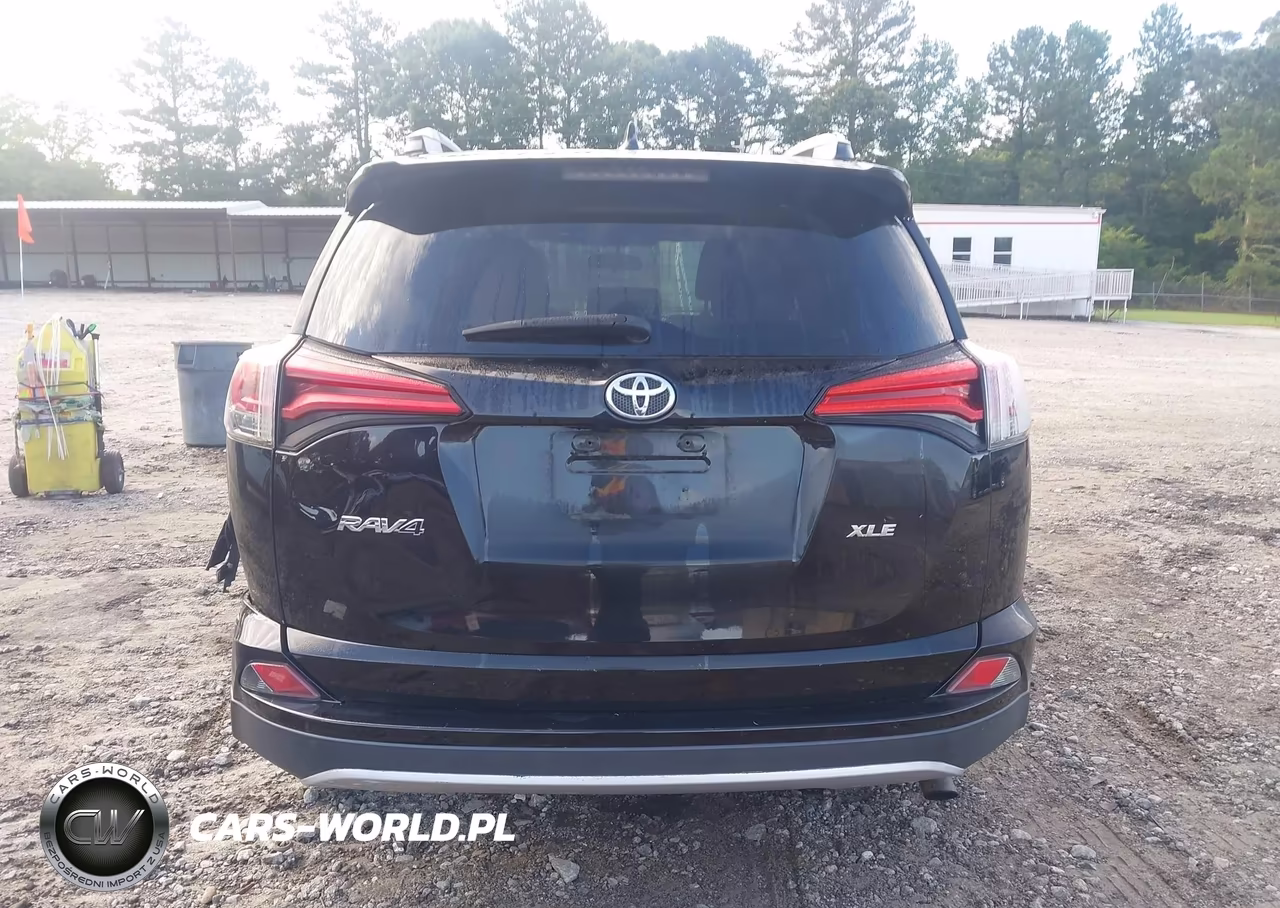 2016 Toyota Rav4 Xle VIN:2T3WFREV3GW290029 - 16
