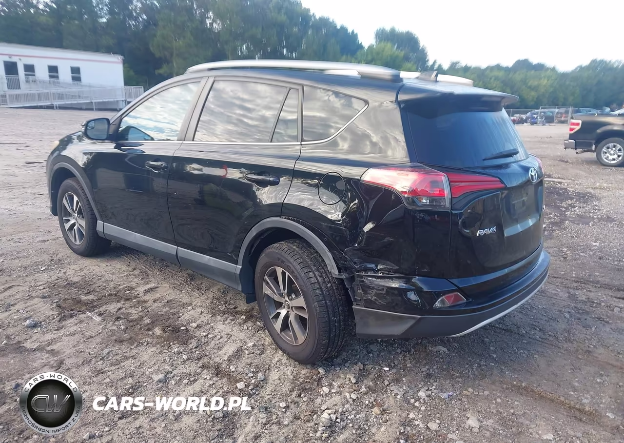 2016 Toyota Rav4 Xle VIN:2T3WFREV3GW290029 - 3