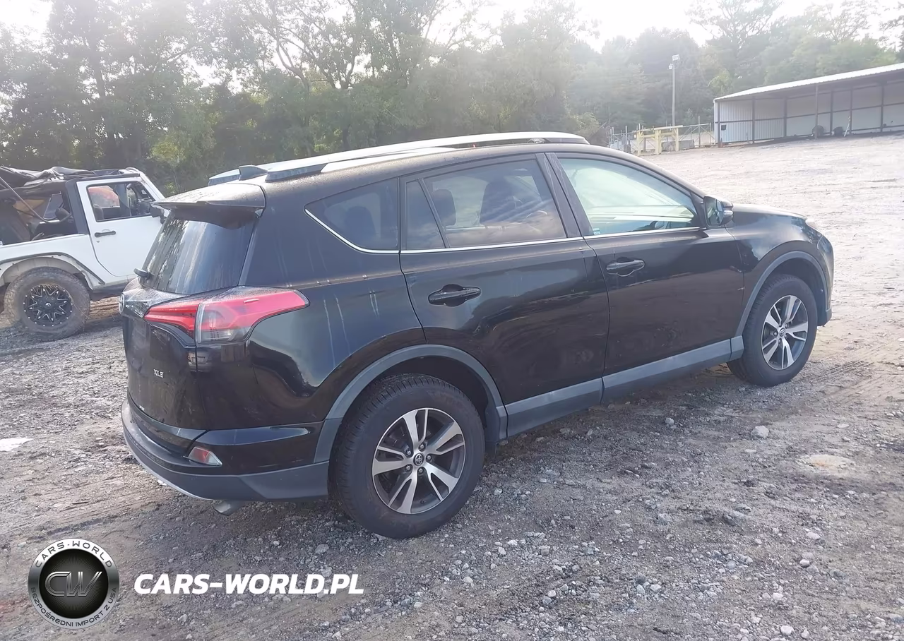2016 Toyota Rav4 Xle VIN:2T3WFREV3GW290029 - 4