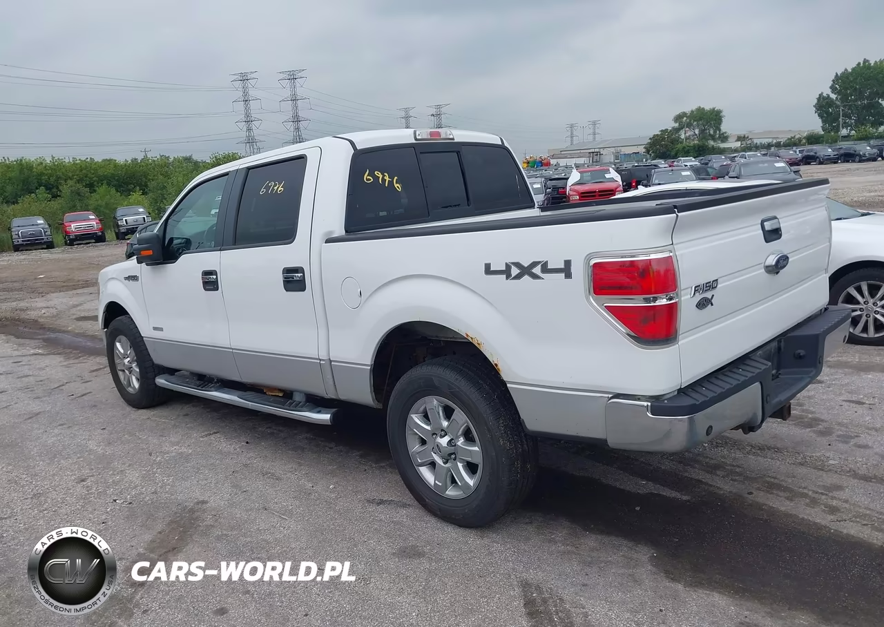2014 Ford F-150 Xlt VIN:1FTFW1ET0EFC65006 - 3