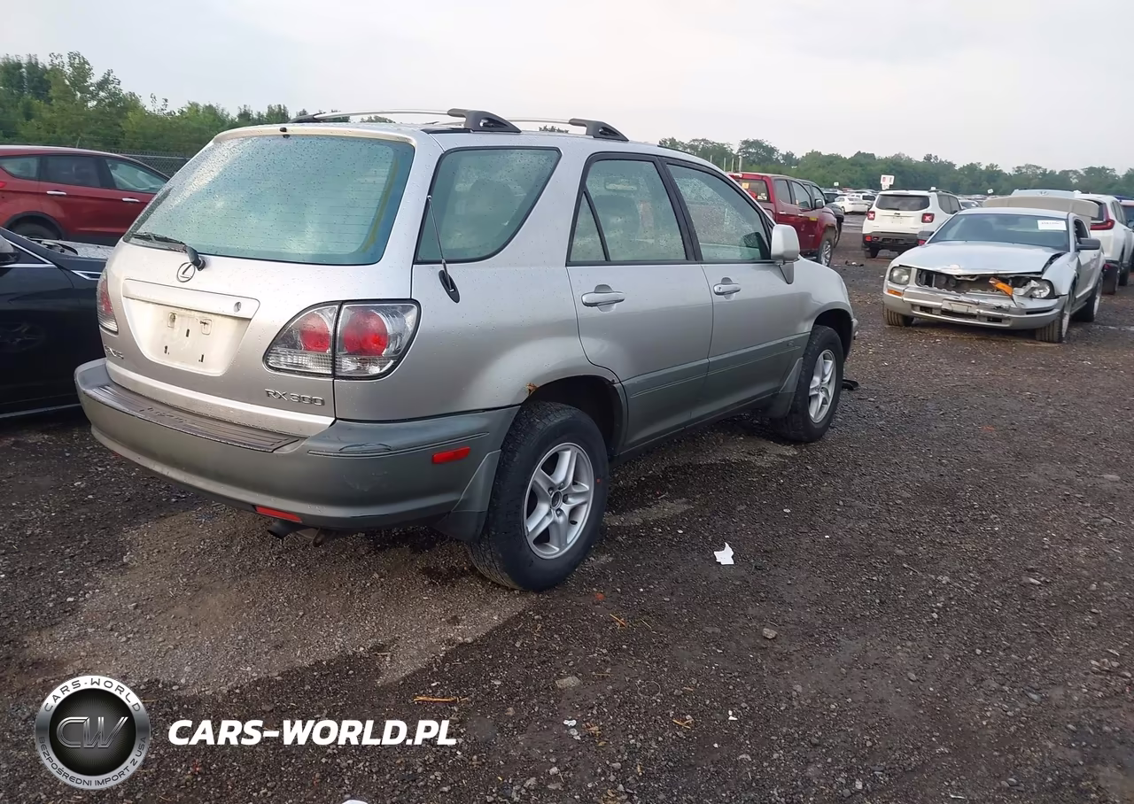 2001 Lexus Rx 300 VIN:JTJHF10U910190213 - 4