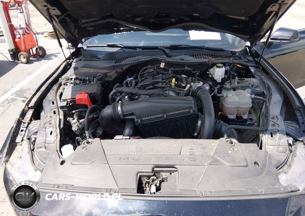 2024 Ford Mustang Ecoboost Premium Fastback VIN:1FA6P8TH9R5118818 - 10