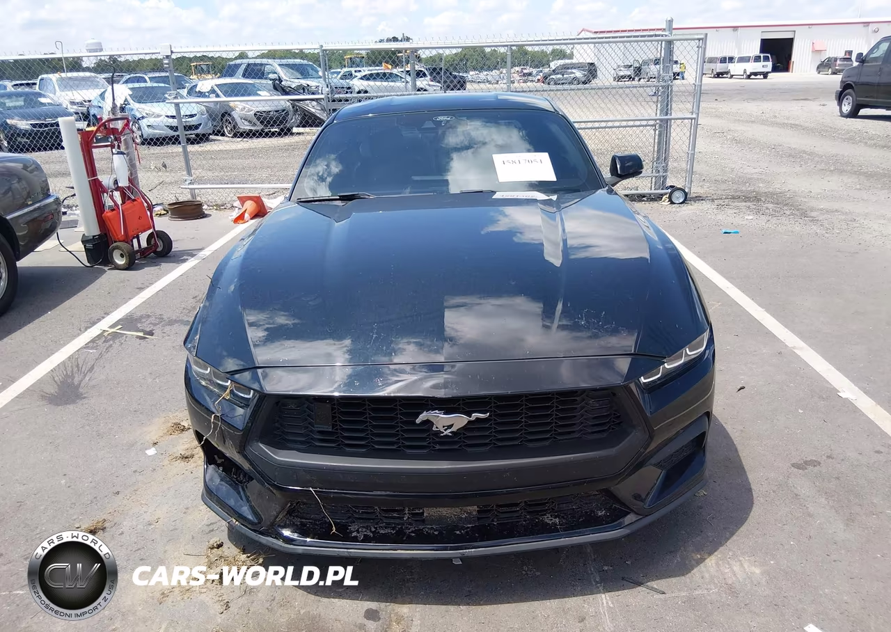 2024 Ford Mustang Ecoboost Premium Fastback VIN:1FA6P8TH9R5118818 - 12