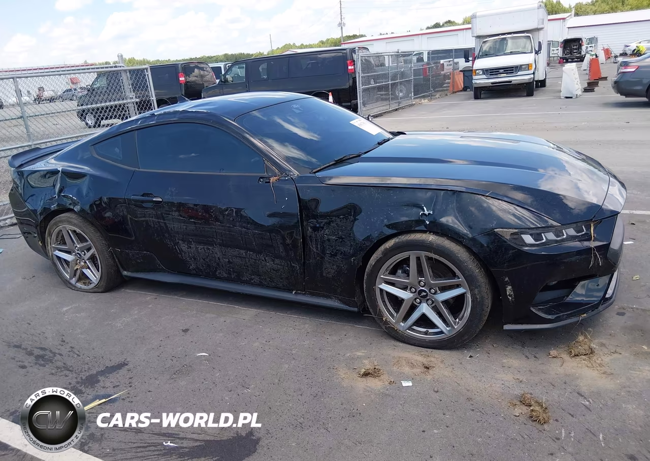 2024 Ford Mustang Ecoboost Premium Fastback VIN:1FA6P8TH9R5118818 - 13