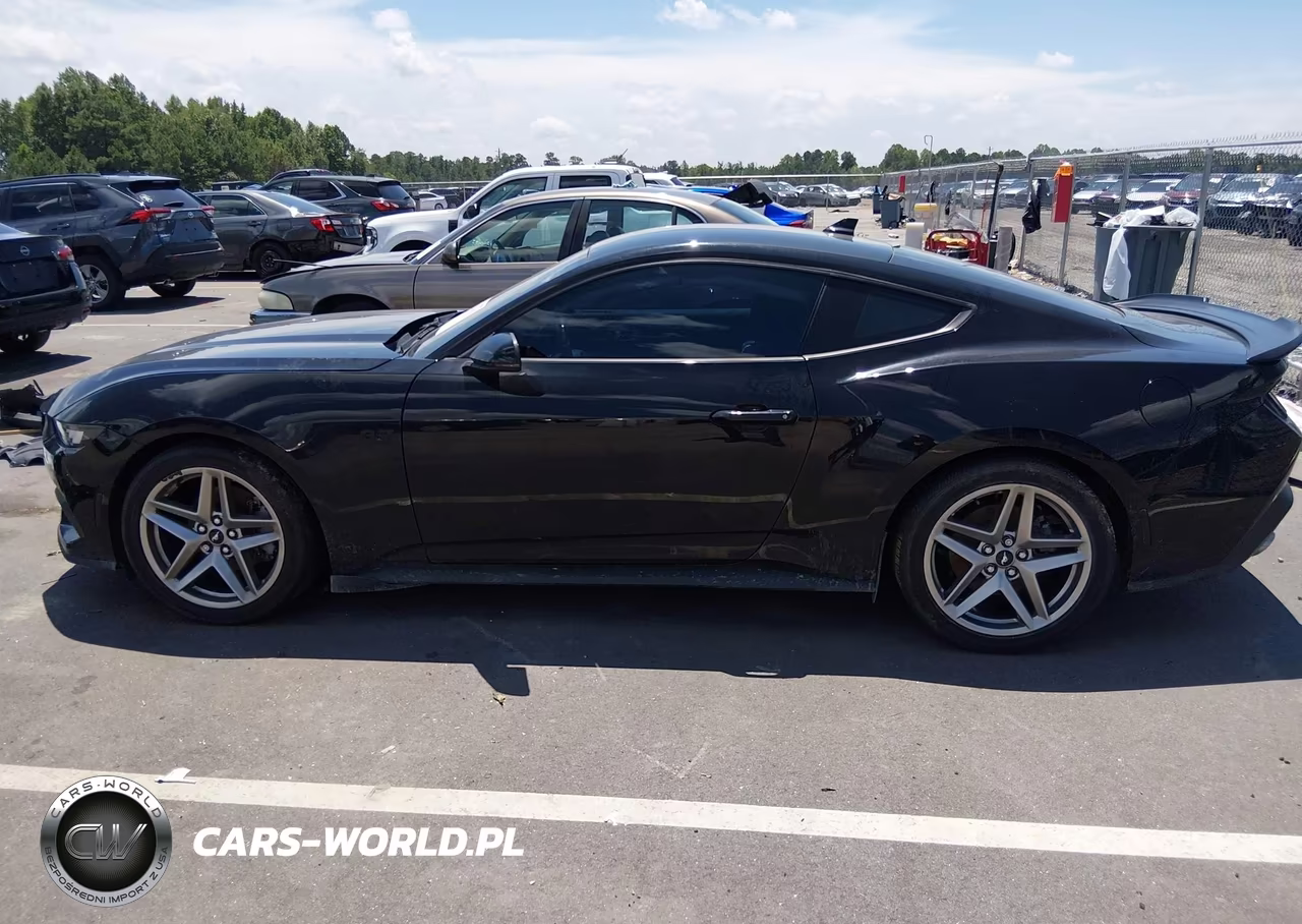 2024 Ford Mustang Ecoboost Premium Fastback VIN:1FA6P8TH9R5118818 - 14
